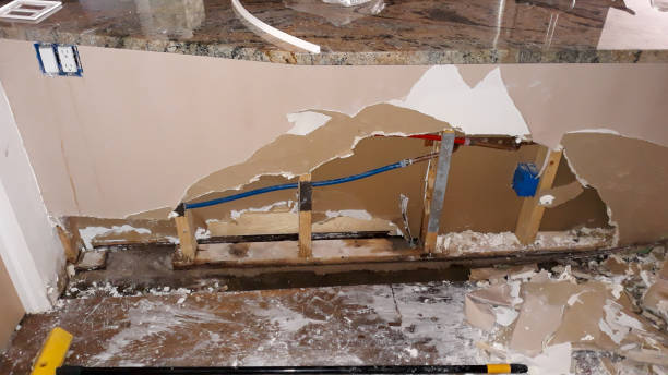 Best Professional water damage repair  in Hurst, TX