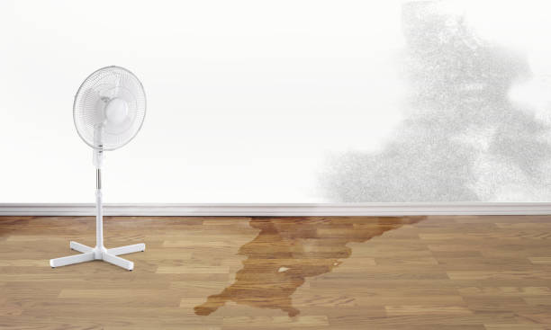 Best Water damage cleanup near me  in Hurst, TX