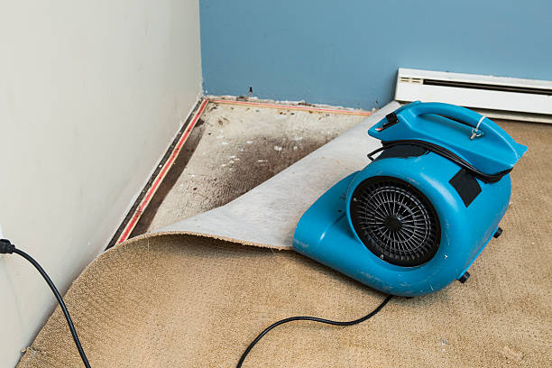 Best Basement water damage restoration  in Hurst, TX